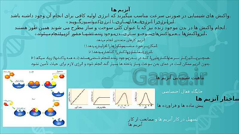 پاورپوینت تدریس زیست شناسی سال دوازدهم |  فصل 1: مولکول‌های اطلاعاتی- پیش نمایش