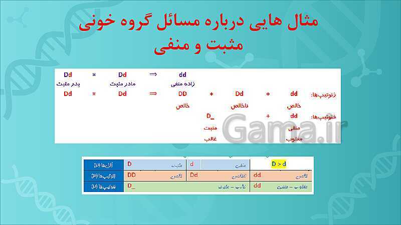 پاورپوینت تدریس زیست شناسی سال دوازدهم | فصل 3: انتقال اطلاعات در نسل‌ها- پیش نمایش