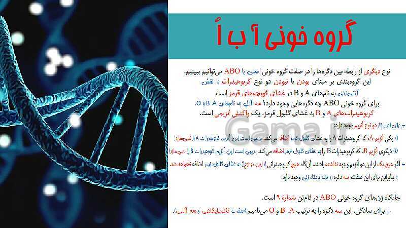 پاورپوینت تدریس زیست شناسی سال دوازدهم | فصل 3: انتقال اطلاعات در نسل‌ها- پیش نمایش