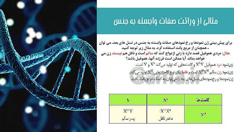 پاورپوینت تدریس زیست شناسی سال دوازدهم | فصل 3: انتقال اطلاعات در نسل‌ها- پیش نمایش