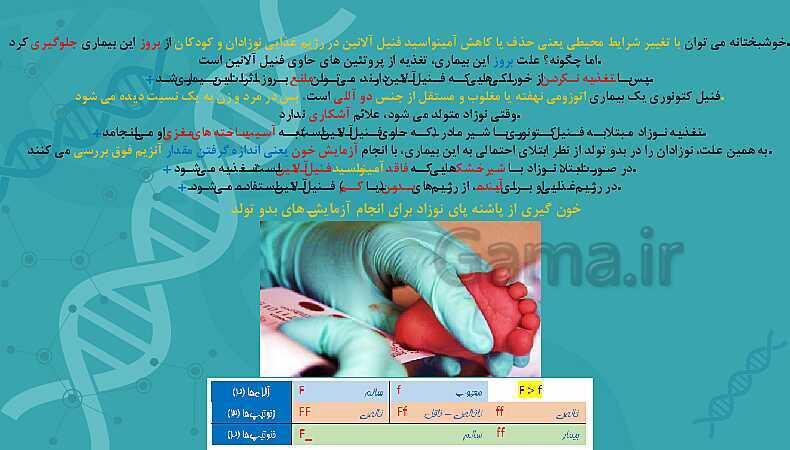 پاورپوینت تدریس زیست شناسی سال دوازدهم | فصل 3: انتقال اطلاعات در نسل‌ها- پیش نمایش