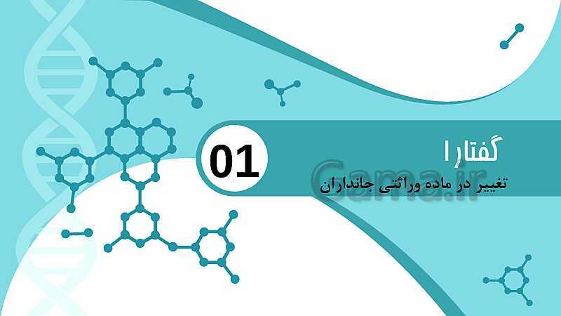 پاورپوینت تدریس زیست شناسی سال دوازدهم | فصل 4: تغییر در اطلاعات وراثتی- پیش نمایش