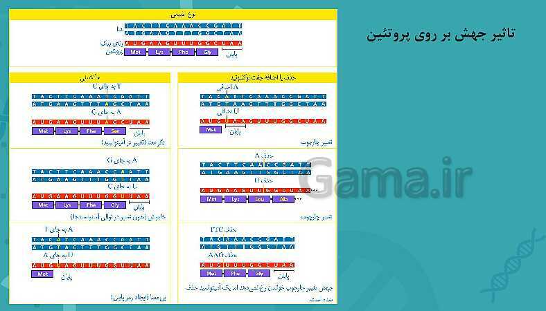 پاورپوینت تدریس زیست شناسی سال دوازدهم | فصل 4: تغییر در اطلاعات وراثتی- پیش نمایش