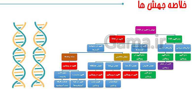 پاورپوینت تدریس زیست شناسی سال دوازدهم | فصل 4: تغییر در اطلاعات وراثتی- پیش نمایش