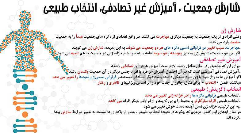 پاورپوینت تدریس زیست شناسی سال دوازدهم | فصل 4: تغییر در اطلاعات وراثتی- پیش نمایش