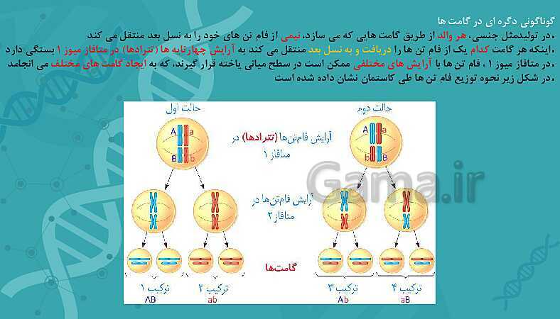 پاورپوینت تدریس زیست شناسی سال دوازدهم | فصل 4: تغییر در اطلاعات وراثتی- پیش نمایش