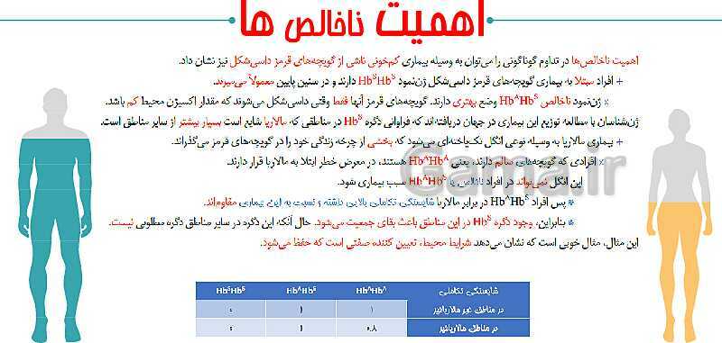 پاورپوینت تدریس زیست شناسی سال دوازدهم | فصل 4: تغییر در اطلاعات وراثتی- پیش نمایش