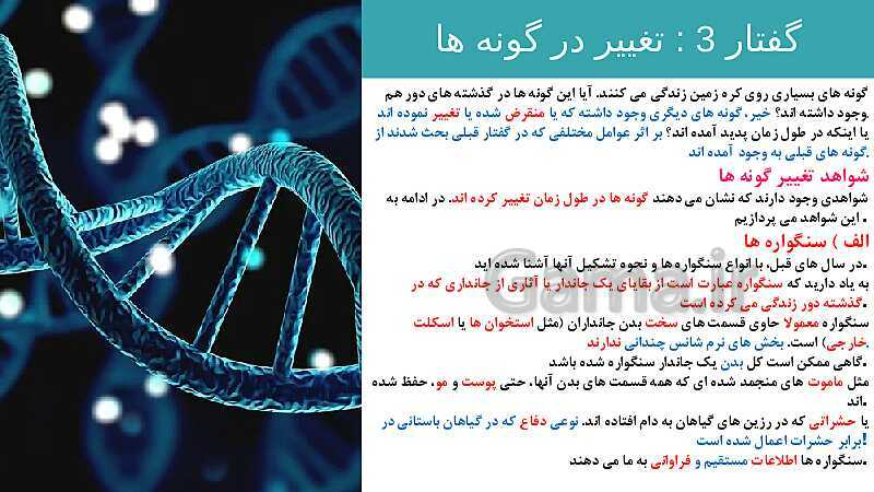 پاورپوینت تدریس زیست شناسی سال دوازدهم | فصل 4: تغییر در اطلاعات وراثتی- پیش نمایش