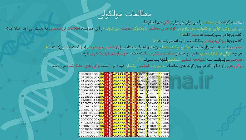 پاورپوینت تدریس زیست شناسی سال دوازدهم | فصل 4: تغییر در اطلاعات وراثتی- پیش نمایش