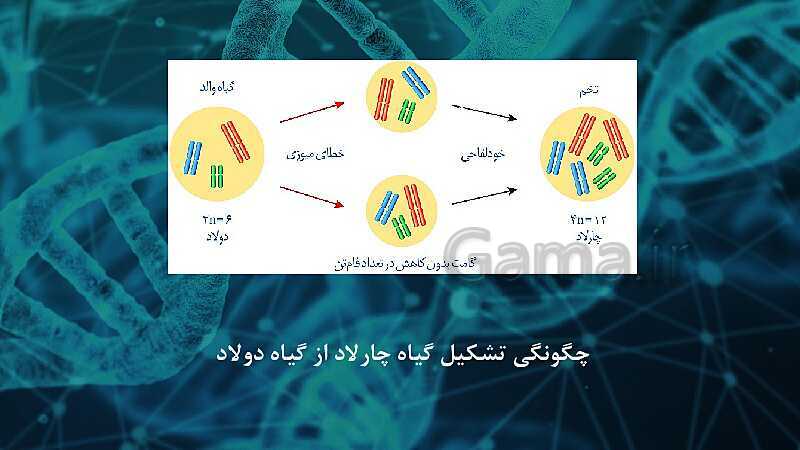 پاورپوینت تدریس زیست شناسی سال دوازدهم | فصل 4: تغییر در اطلاعات وراثتی- پیش نمایش