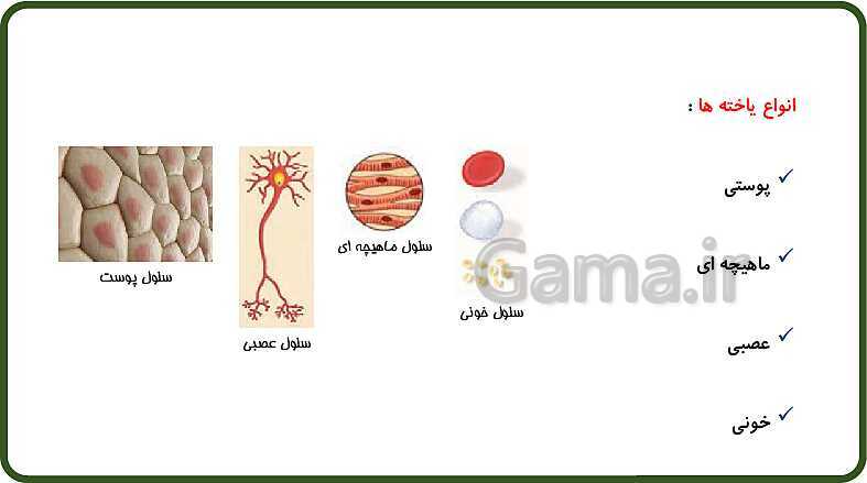 پاورپوینت آموزش با روش نقشه ذهنی (مایندمپ) فصل 11: یاخته و سازمان بندی آن- پیش نمایش