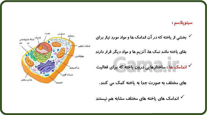 پاورپوینت آموزش با روش نقشه ذهنی (مایندمپ) فصل 11: یاخته و سازمان بندی آن- پیش نمایش