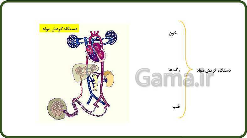 پاورپوینت آموزش با روش نقشه ذهنی (مایندمپ) فصل 14: گردش مواد- پیش نمایش