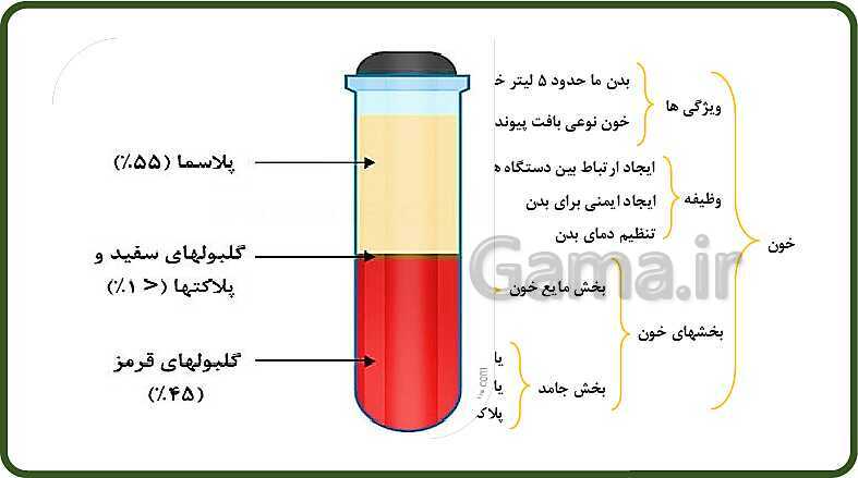 پاورپوینت آموزش با روش نقشه ذهنی (مایندمپ) فصل 14: گردش مواد- پیش نمایش