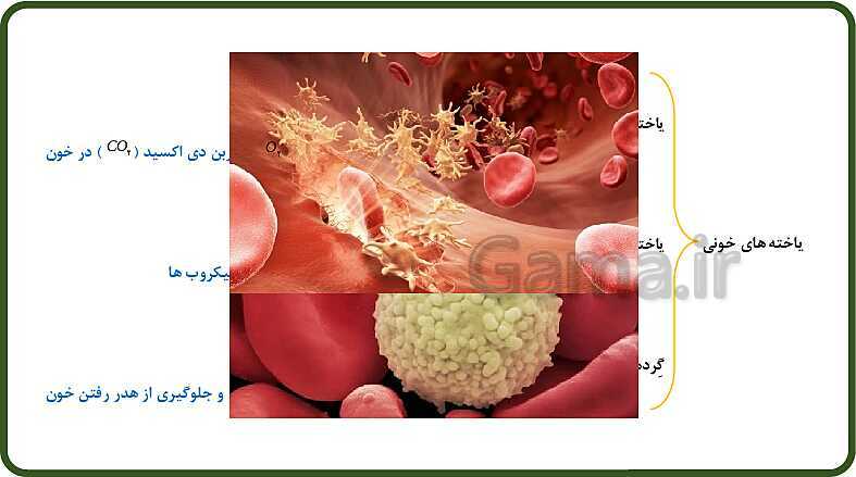 پاورپوینت آموزش با روش نقشه ذهنی (مایندمپ) فصل 14: گردش مواد- پیش نمایش