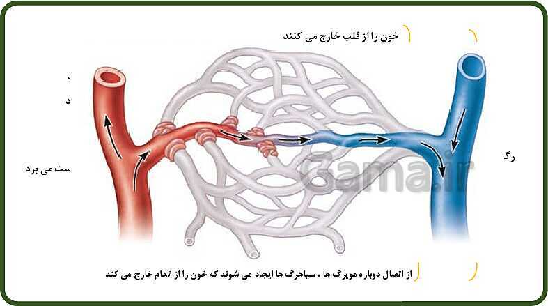 پاورپوینت آموزش با روش نقشه ذهنی (مایندمپ) فصل 14: گردش مواد- پیش نمایش