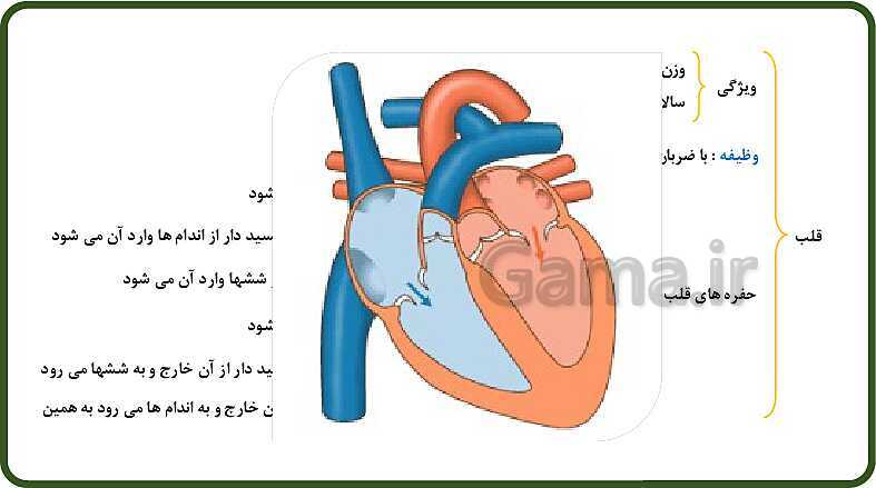 پاورپوینت آموزش با روش نقشه ذهنی (مایندمپ) فصل 14: گردش مواد- پیش نمایش