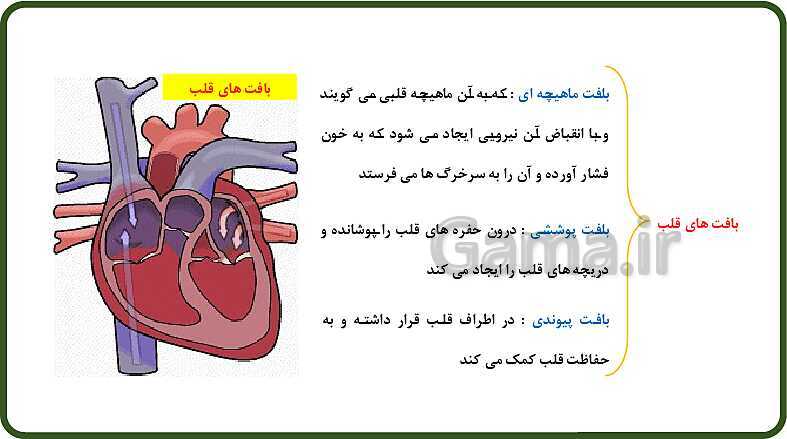 پاورپوینت آموزش با روش نقشه ذهنی (مایندمپ) فصل 14: گردش مواد- پیش نمایش