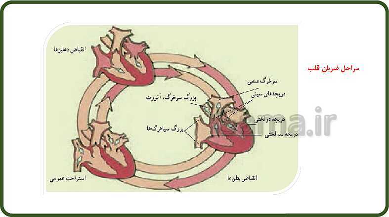 پاورپوینت آموزش با روش نقشه ذهنی (مایندمپ) فصل 14: گردش مواد- پیش نمایش