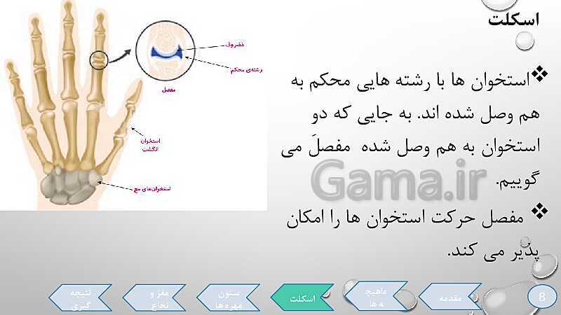 پاورپوینت تدریس درس 5: حرکت بدن (دستگاههای ماهیچه‌ای، اسکلتی و عصبی)- پیش نمایش