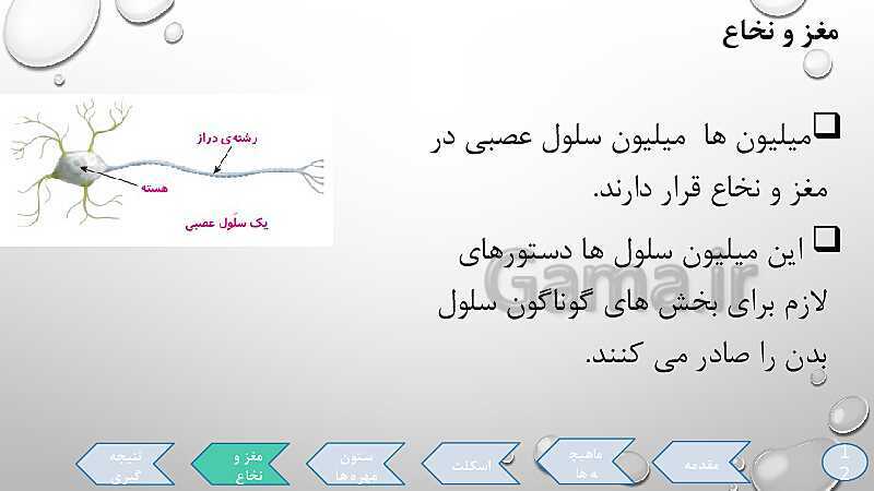 پاورپوینت تدریس درس 5: حرکت بدن (دستگاههای ماهیچه‌ای، اسکلتی و عصبی)- پیش نمایش