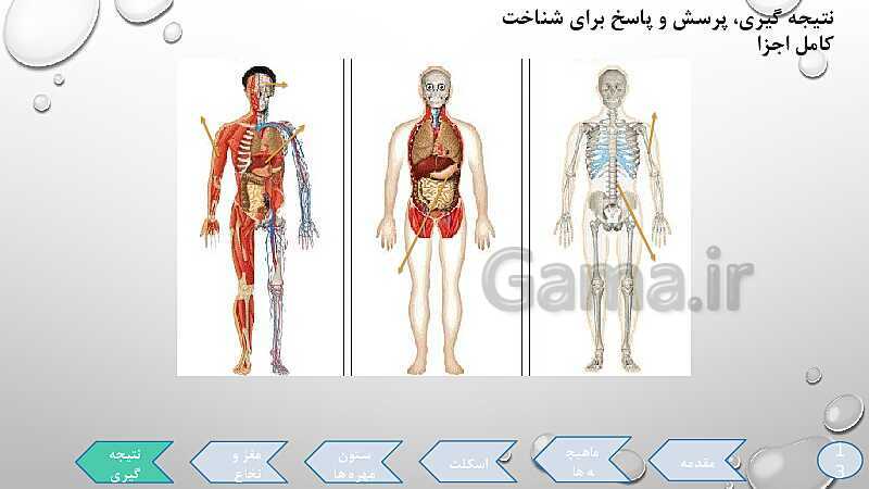 پاورپوینت تدریس درس 5: حرکت بدن (دستگاههای ماهیچه‌ای، اسکلتی و عصبی)- پیش نمایش