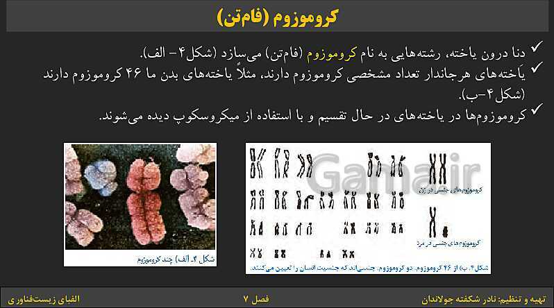 پاورپوینت کتاب درسی علوم تجربی هشتم | فصل 7: الفبای زیست فناوری- پیش نمایش