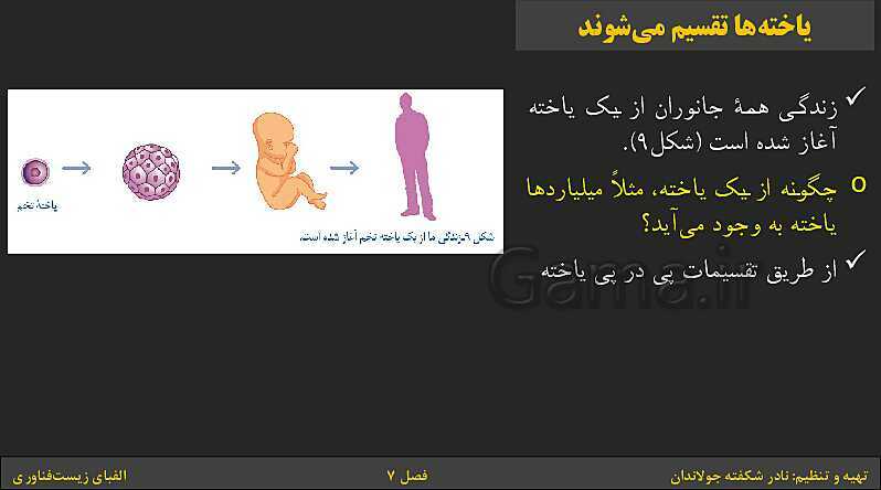 پاورپوینت کتاب درسی علوم تجربی هشتم | فصل 7: الفبای زیست فناوری- پیش نمایش