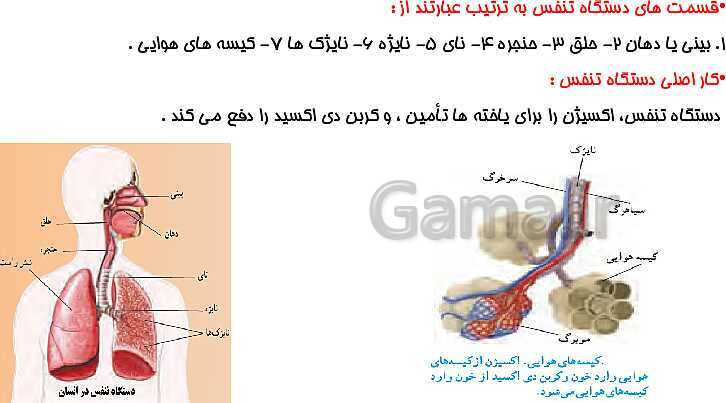 پاورپوینت آموزش کتاب درسی علوم تجربی هفتم | فصل 15: تبادل با محیط- پیش نمایش