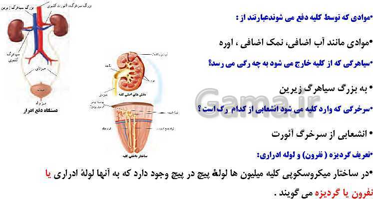 پاورپوینت آموزش کتاب درسی علوم تجربی هفتم | فصل 15: تبادل با محیط- پیش نمایش