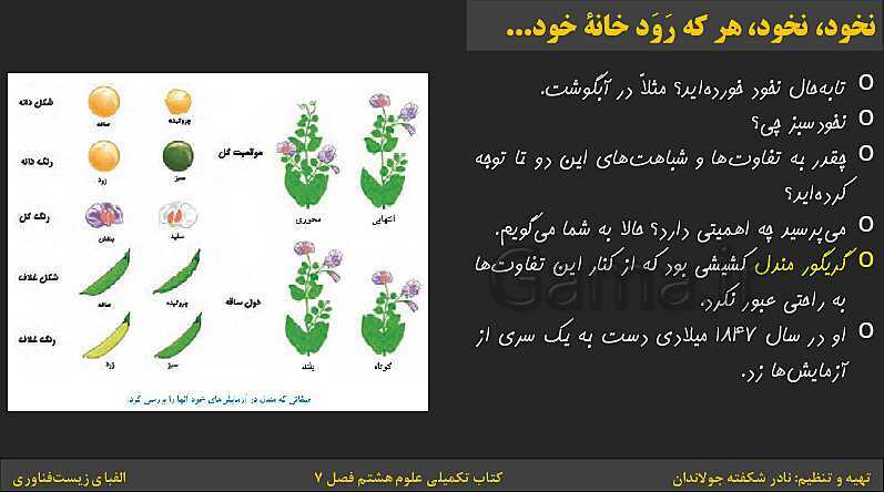 پاورپوینت کتاب تکمیلی تیزهوشان علوم تجربی هشتم | فصل 7: الفبای زیست فناوری- پیش نمایش