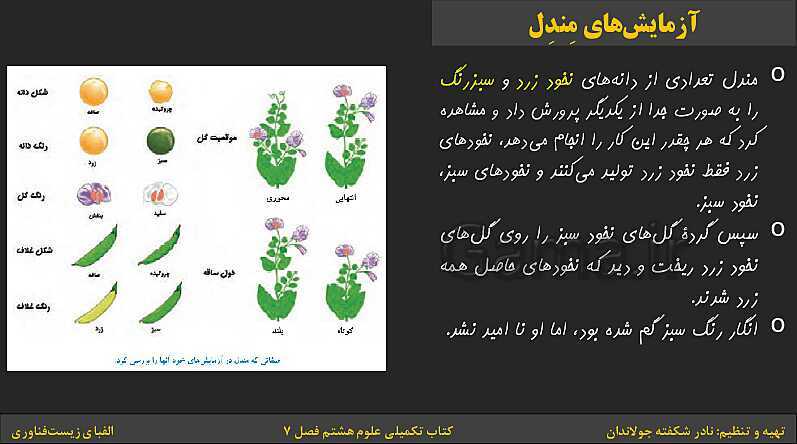 پاورپوینت کتاب تکمیلی تیزهوشان علوم تجربی هشتم | فصل 7: الفبای زیست فناوری- پیش نمایش