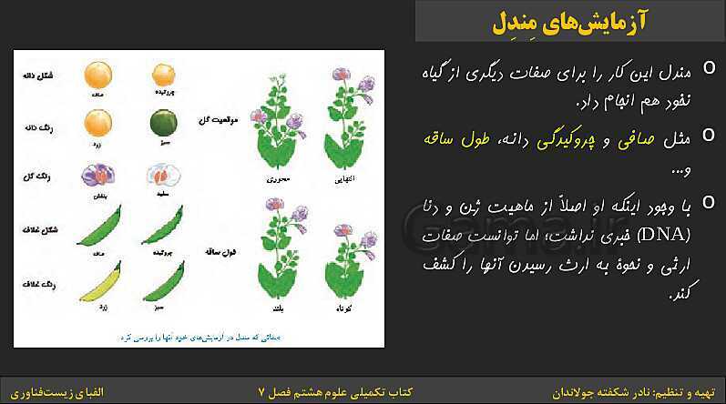 پاورپوینت کتاب تکمیلی تیزهوشان علوم تجربی هشتم | فصل 7: الفبای زیست فناوری- پیش نمایش