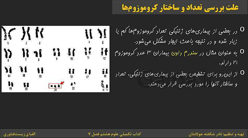 پاورپوینت کتاب تکمیلی تیزهوشان علوم تجربی هشتم | فصل 7: الفبای زیست فناوری- پیش نمایش