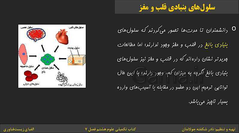 پاورپوینت کتاب تکمیلی تیزهوشان علوم تجربی هشتم | فصل 7: الفبای زیست فناوری- پیش نمایش