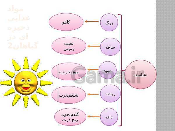 پاورپوینت تدریس علوم ششم ابتدایی | درس 11: شگفتی‌های برگ- پیش نمایش