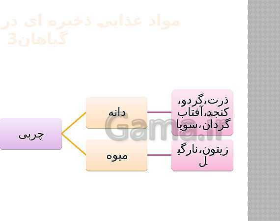 پاورپوینت تدریس علوم ششم ابتدایی | درس 11: شگفتی‌های برگ- پیش نمایش