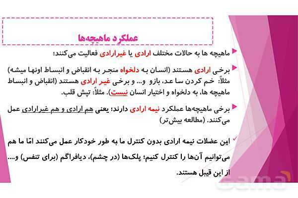 پاورپوینت تدریس درس 5: حرکت بدن (دستگاههای ماهیچه‌ای، اسکلتی و عصبی) - پیش نمایش