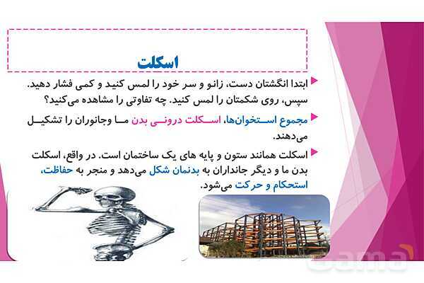 پاورپوینت تدریس درس 5: حرکت بدن (دستگاههای ماهیچه‌ای، اسکلتی و عصبی) - پیش نمایش