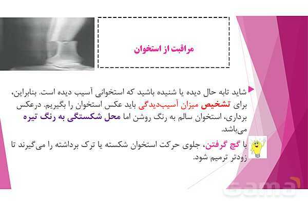 پاورپوینت تدریس درس 5: حرکت بدن (دستگاههای ماهیچه‌ای، اسکلتی و عصبی) - پیش نمایش
