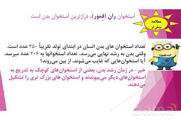 پاورپوینت تدریس درس 5: حرکت بدن (دستگاههای ماهیچه‌ای، اسکلتی و عصبی) - پیش نمایش