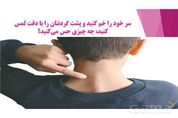 پاورپوینت تدریس درس 5: حرکت بدن (دستگاههای ماهیچه‌ای، اسکلتی و عصبی) - پیش نمایش