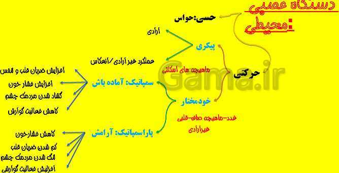 پاورپوینت آموزش کتاب درسی زیست شناسی دهم |  فصل 2: گوارش و جذب مواد- پیش نمایش