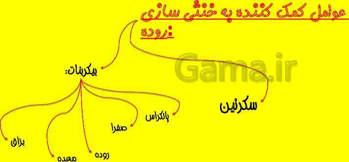 پاورپوینت آموزش کتاب درسی زیست شناسی دهم |  فصل 2: گوارش و جذب مواد- پیش نمایش