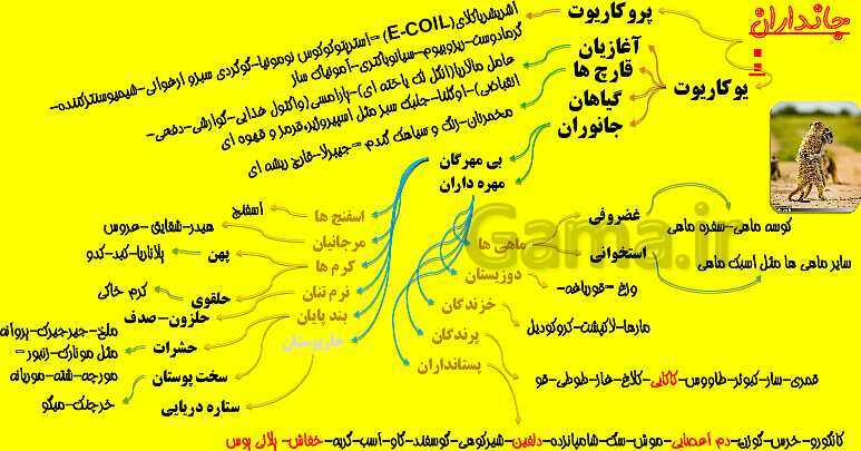 پاورپوینت آموزش کتاب درسی زیست شناسی دهم |  فصل 2: گوارش و جذب مواد- پیش نمایش