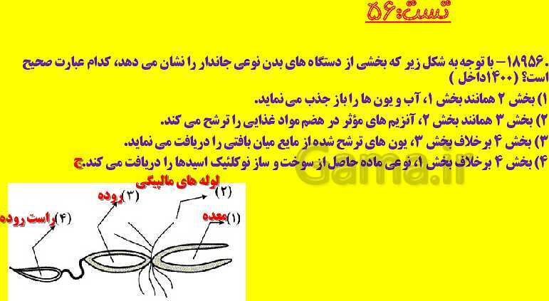 پاورپوینت آموزش کتاب درسی زیست شناسی دهم |  فصل 2: گوارش و جذب مواد- پیش نمایش