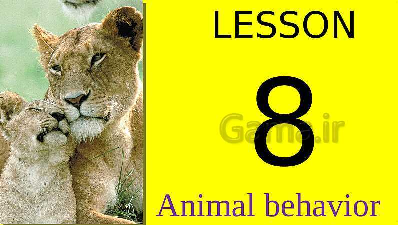 پاورپوینت آموزش کتاب درسی زیست شناسی دوازدهم | فصل 8: رفتارهای جانوران- پیش نمایش