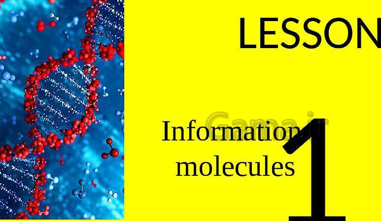پاورپوینت آموزش کتاب درسی زیست شناسی دوازدهم | فصل 1: مولکول‌های اطلاعاتی- پیش نمایش