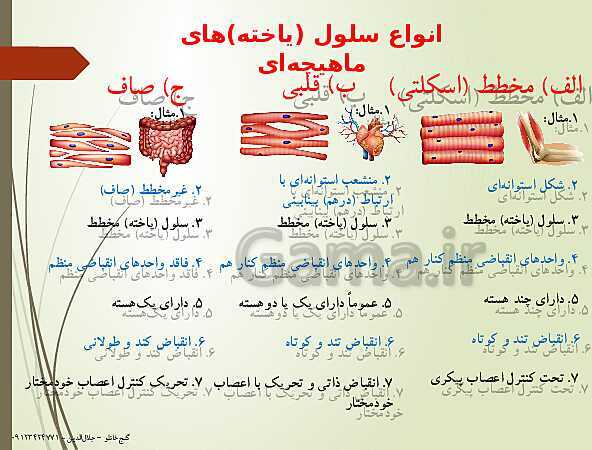 پاورپوینت زیست شناسی یازدهم تجربی | فصل 3: دستگاه حرکتی (گفتار 2: ماهیچه و حرکت)- پیش نمایش