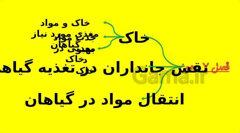 پاورپوینت آموزش کتاب درسی زیست شناسی دهم | فصل 7: جذب و انتقال مواد در گیاهان- پیش نمایش